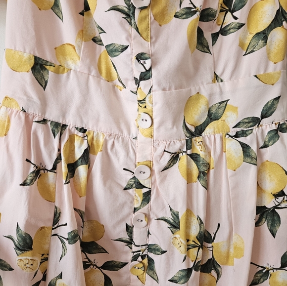 Lulu's pink lemon dress - Picture 5 of 9